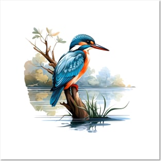 Kingfisher Posters and Art